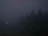 19 : 40