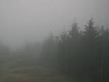 17 : 36
