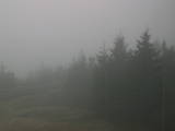17 : 44