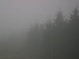 18 : 20