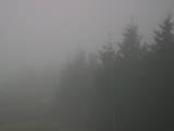18 : 28