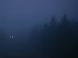 19 : 32