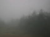 07 : 48