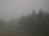 08 : 06