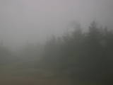 08 : 36