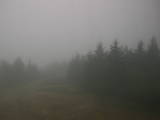 09 : 06