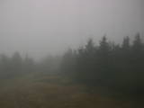 09 : 14