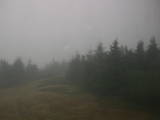 09 : 42