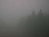 07 : 36