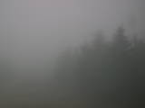 08 : 20