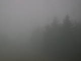 08 : 40
