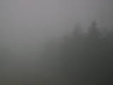 08 : 44