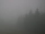 08 : 46