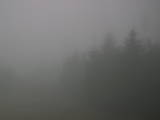 08 : 50