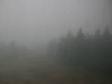 09 : 06