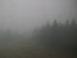 09 : 08