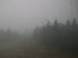 09 : 44