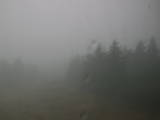 09 : 50