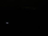 00 : 44