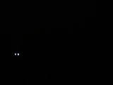 03 : 44