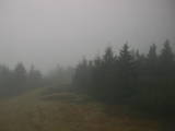 15 : 28