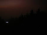 19 : 04