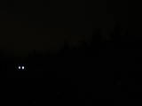 19 : 08