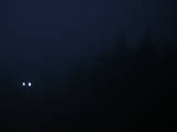 06 : 56