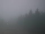 07 : 36