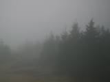 08 : 08