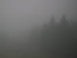 08 : 20