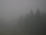 08 : 36