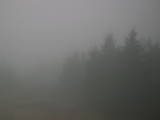 08 : 44