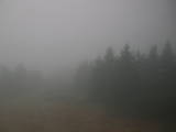 09 : 02