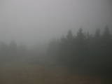 09 : 06
