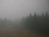 09 : 42