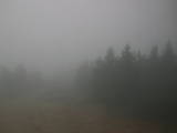 09 : 44