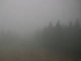12 : 56