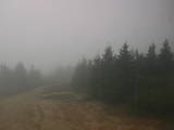 13 : 00