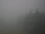 16 : 28