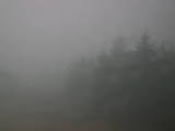 16 : 36