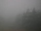 16 : 40