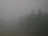 16 : 44