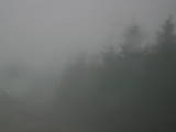 17 : 14