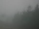 17 : 16