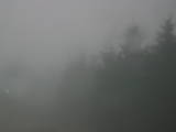 17 : 18