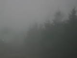 17 : 20