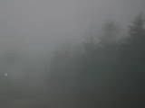 17 : 36
