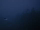 18 : 10