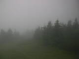 08 : 20